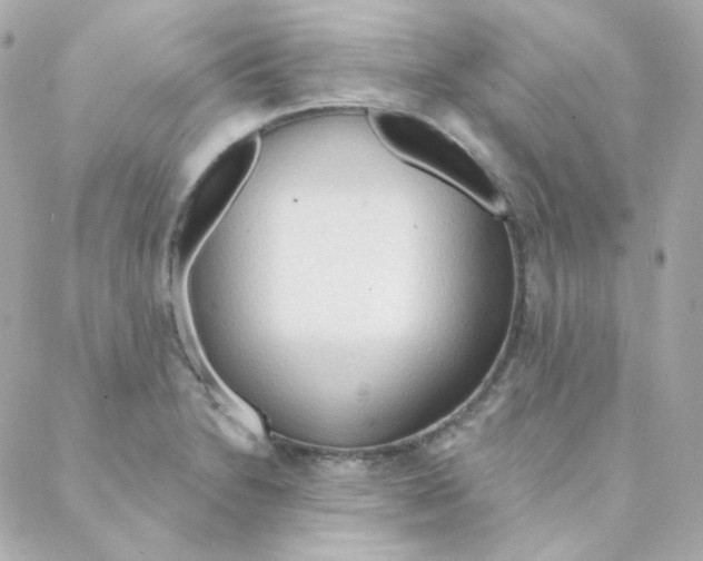 X0000088221230200706051314