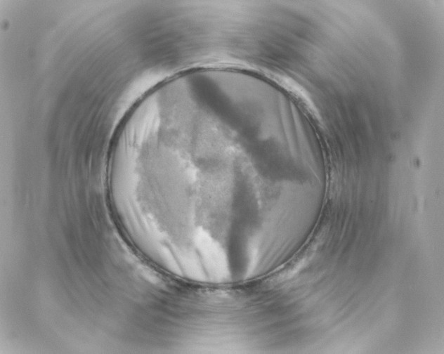 X0000088221231200706051314