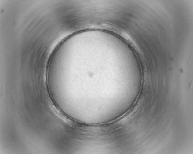 X0000088221232200706051314