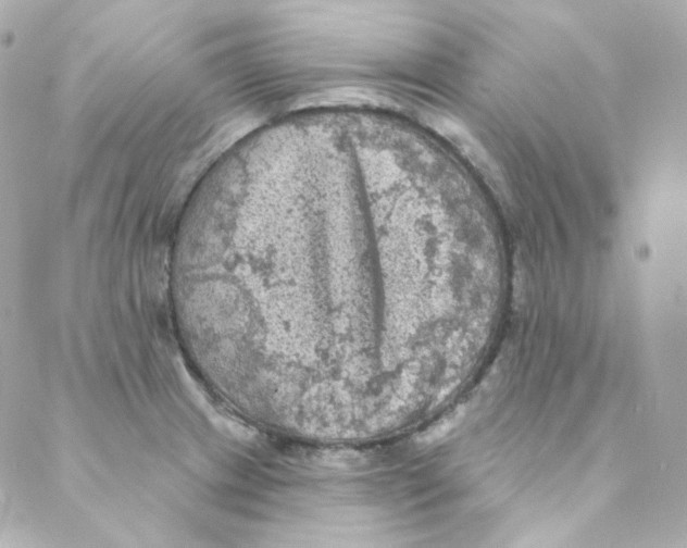 X0000088221233200706051314