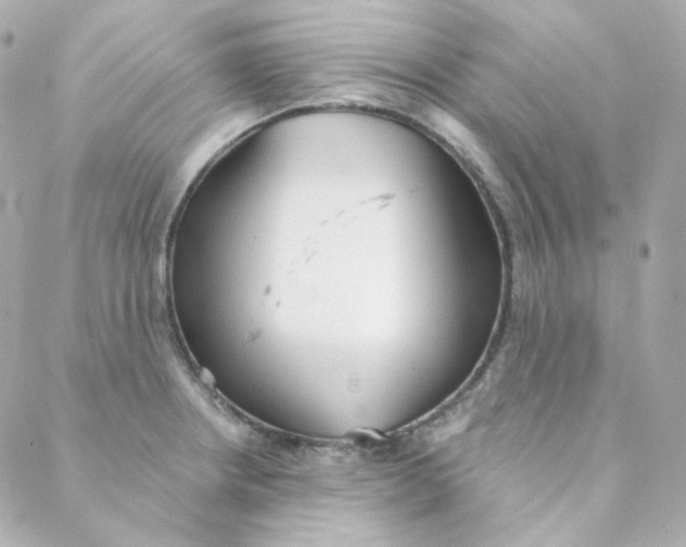 X0000088221234200706051314