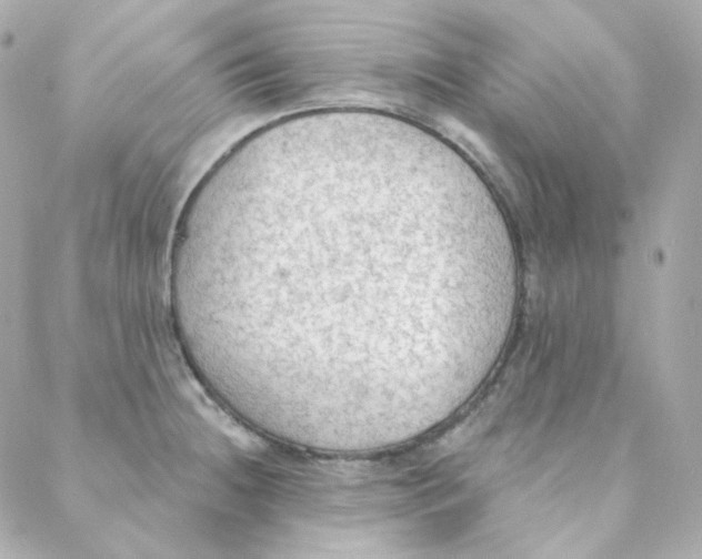 X0000088221236200706051314