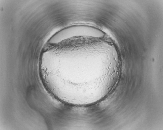 X0000088221237200706051314