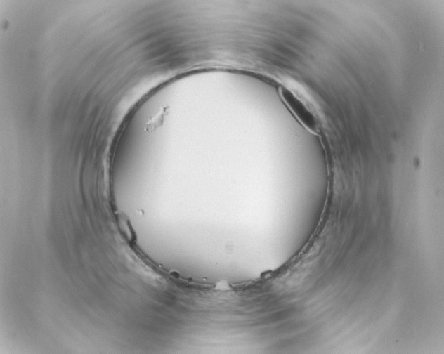 X0000088221238200706051314