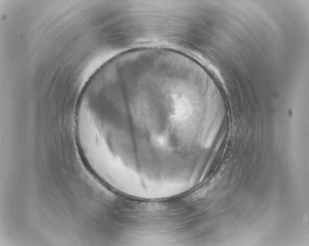 X0000088221239200706051314