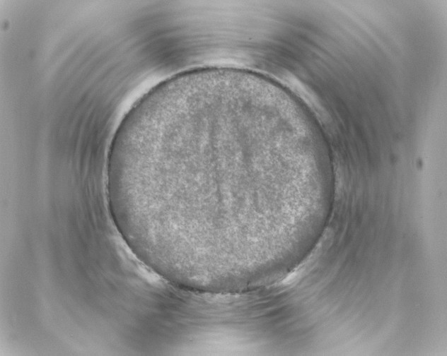 X0000088221240200706051314