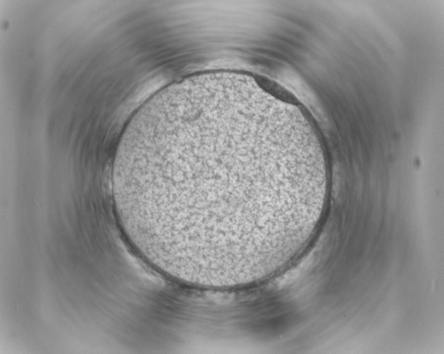 X0000088221241200706051314