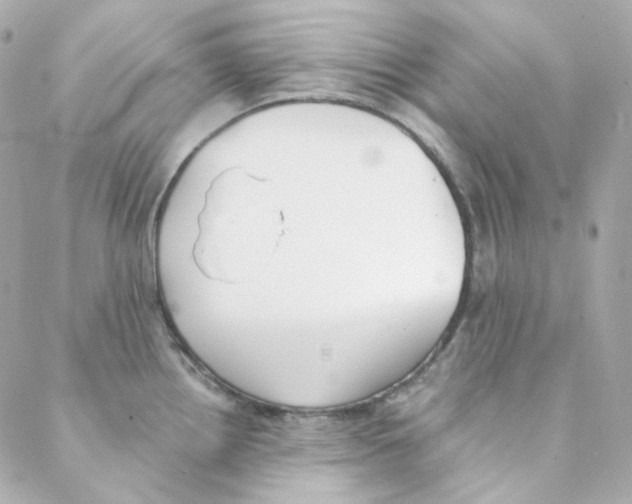 X0000088221242200706051314