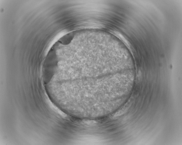 X0000088221243200706051314