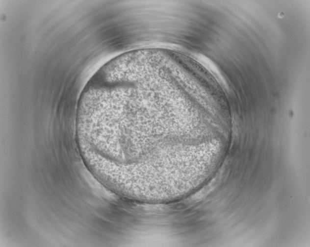 X0000088221244200706051314