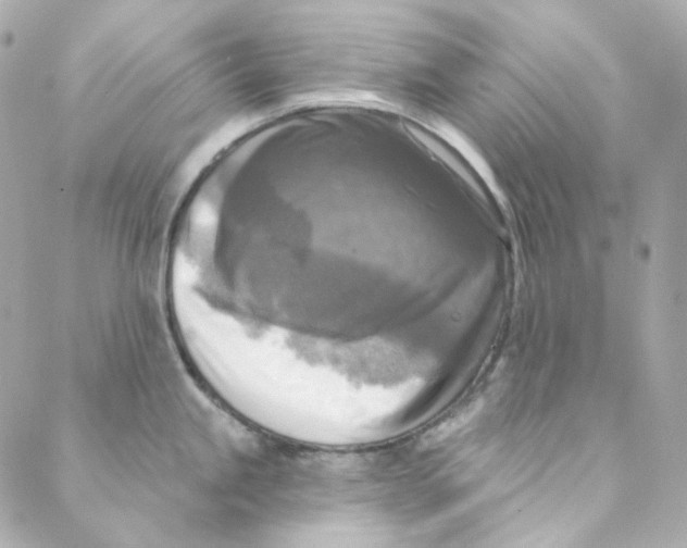 X0000088221245200706051314