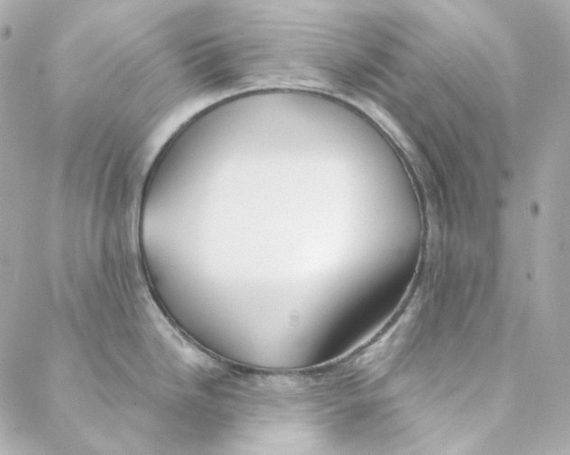 X0000088221246200706051314