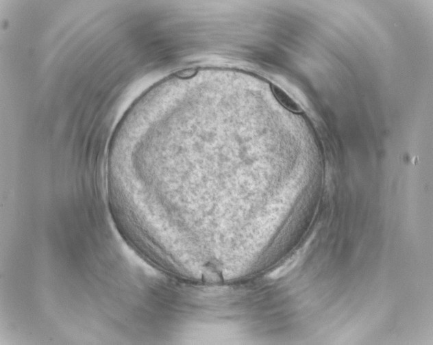 X0000088221247200706051314