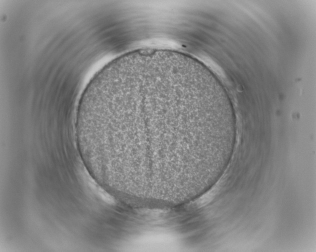 X0000088221248200706051314