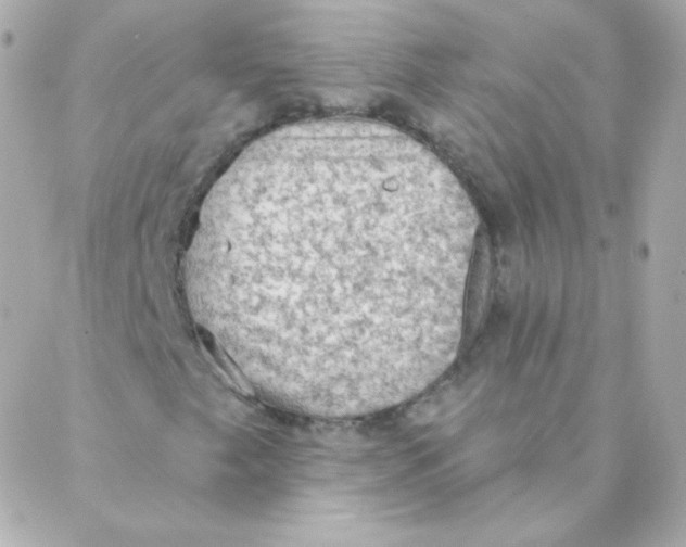 X0000088221249200706051314