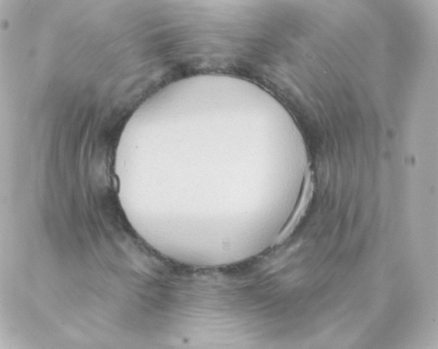 X0000088221250200706051314