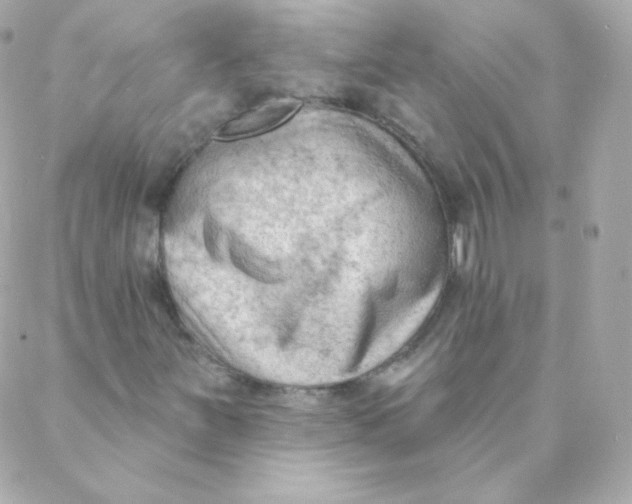 X0000088221251200706051314