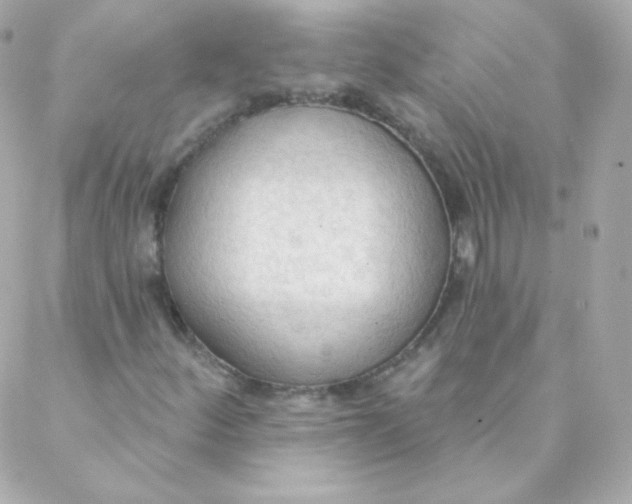 X0000088221252200706051314