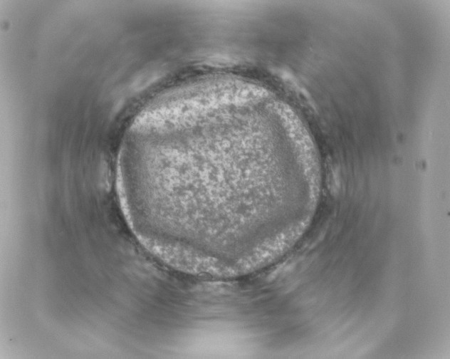 X0000088221253200706051314