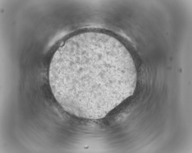 X0000088221255200706051314