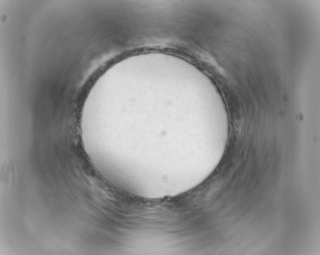 X0000088221256200706051314