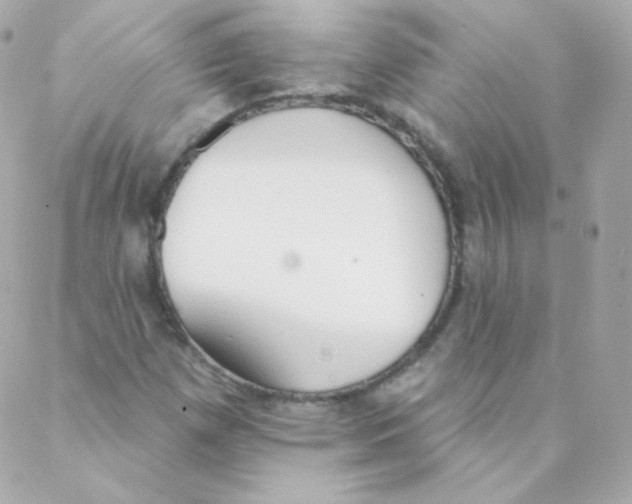 X0000088221257200706051314