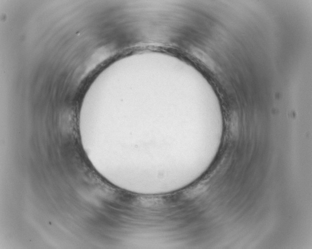 X0000088221258200706051314