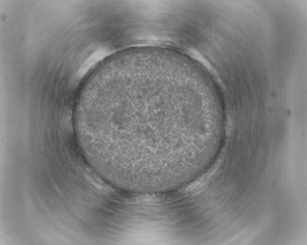 X0000088221259200706051314