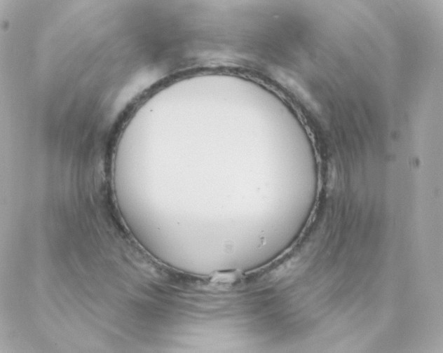 X0000088221261200706051314