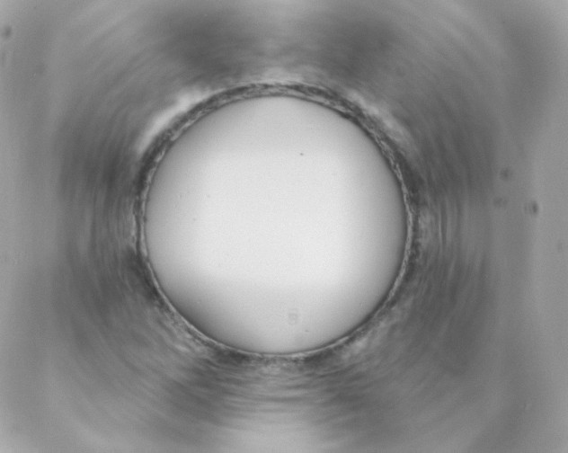 X0000088221262200706051313