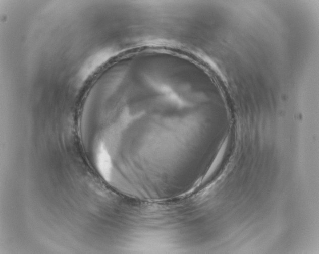 X0000088221263200706051313