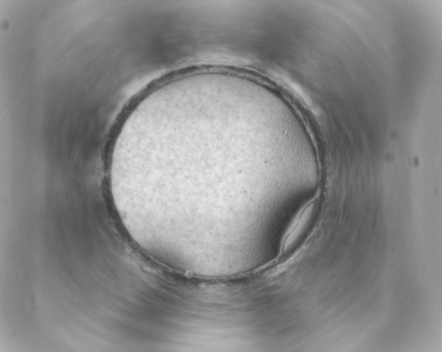 X0000088221264200706051313