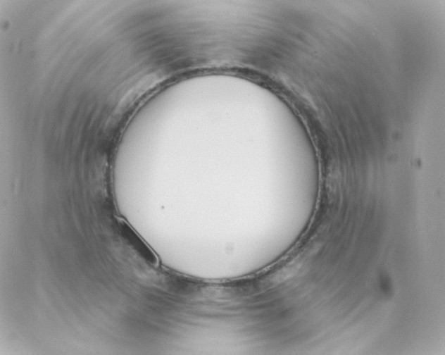 X0000088221265200706051313