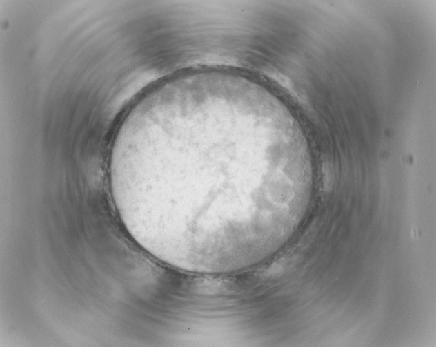 X0000088221266200706051313