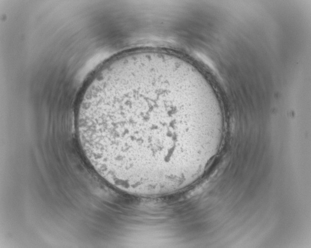 X0000088221267200706051313