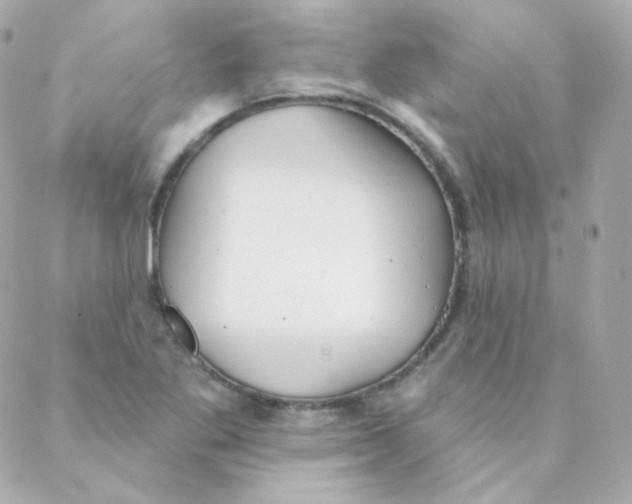 X0000088221269200706051313