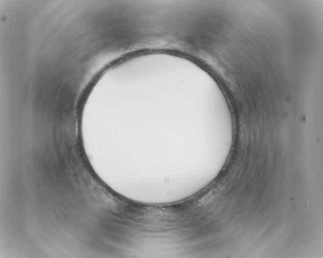 X0000088221270200706051313