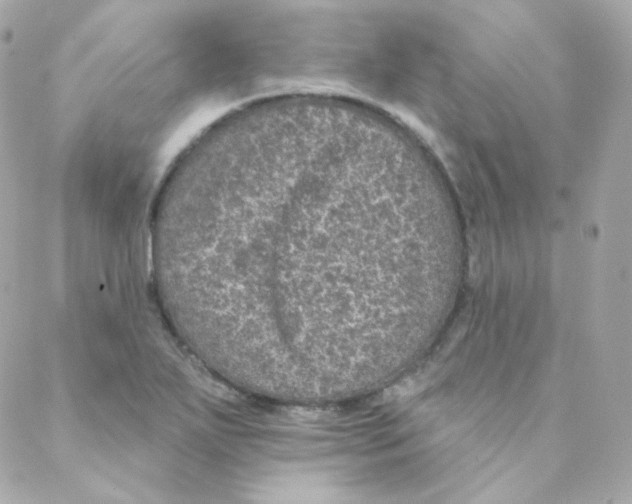 X0000088221271200706051313