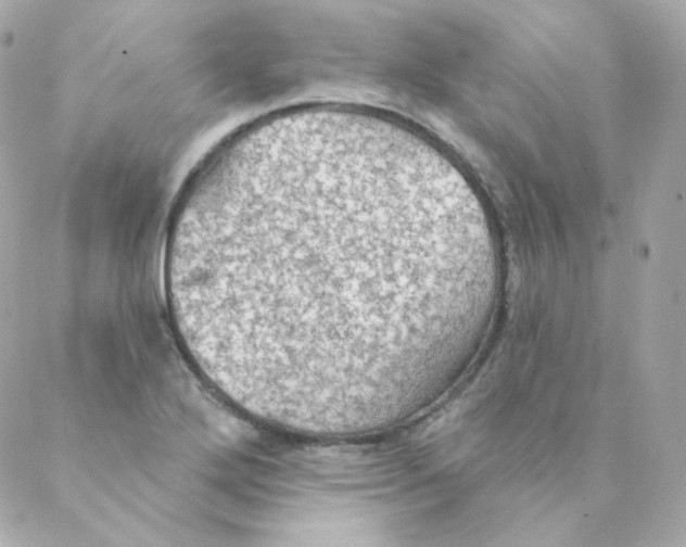 X0000088221272200706051313