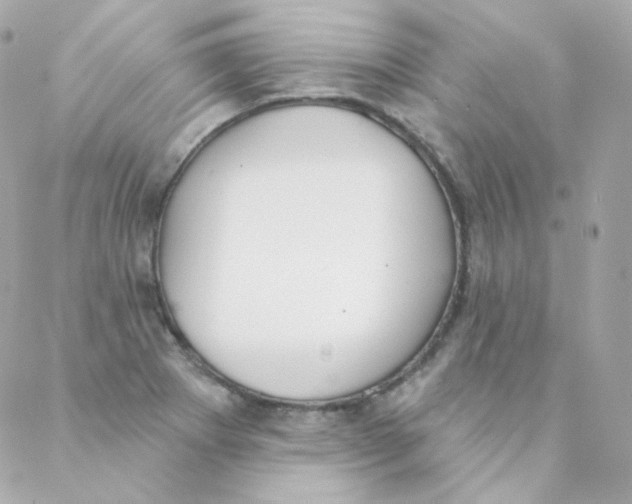 X0000088221273200706051313