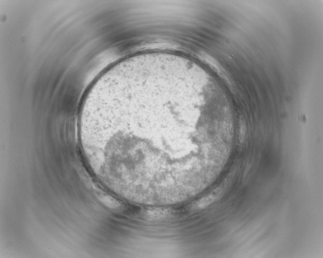 X0000088221274200706051313