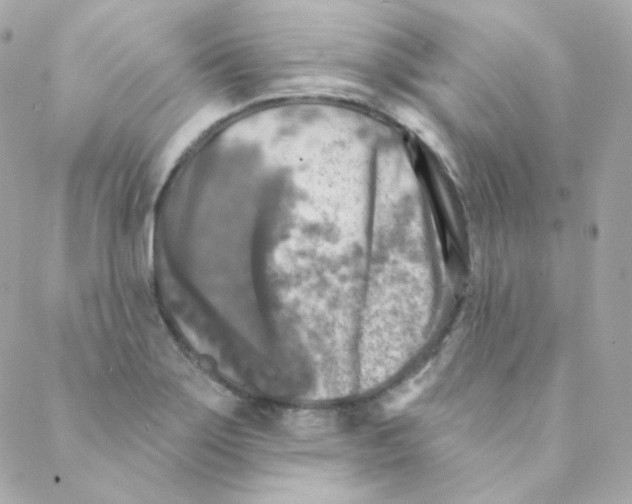 X0000088221275200706051313