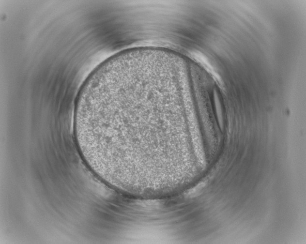 X0000088221276200706051313