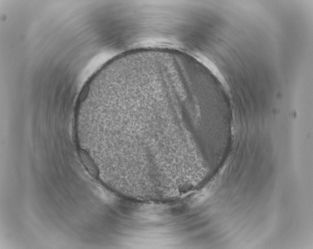 X0000088221277200706051313