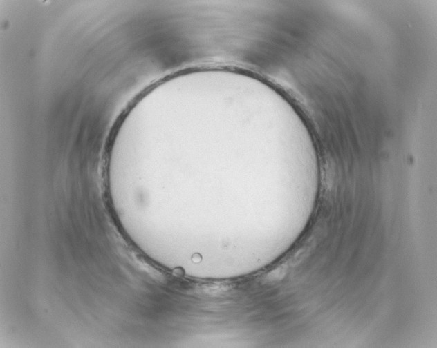 X0000088221278200706051313