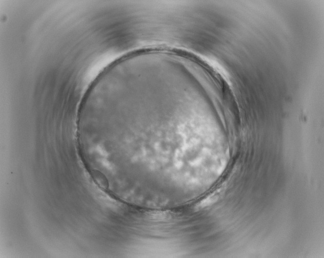 X0000088221279200706051313