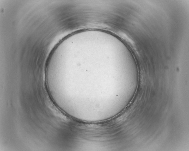 X0000088221280200706051313