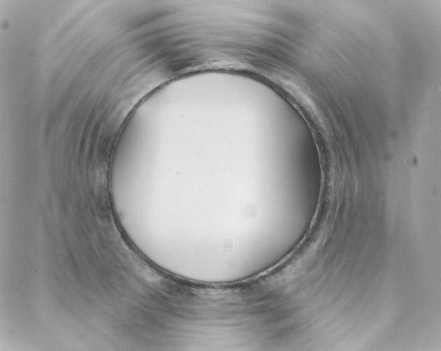 X0000088221281200706051313