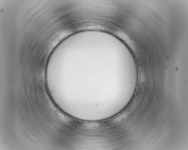 X0000088221282200706051313