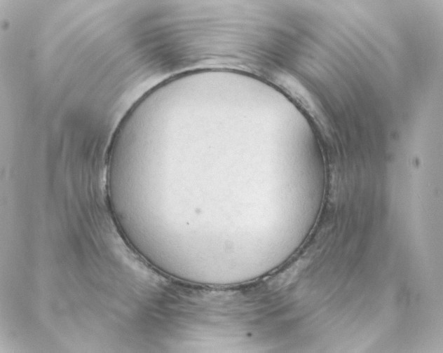 X0000088221284200706051313